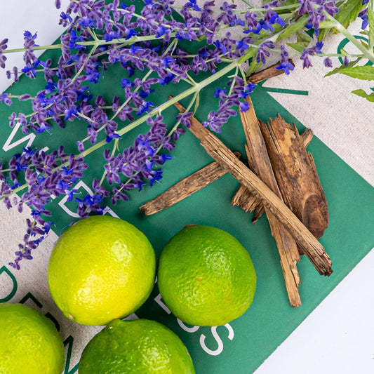 OLOR - Cedar, Lime & Lavender Jar Candle