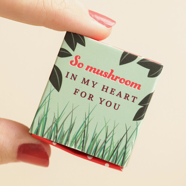Small box with 'So mushroom in my heart for you' text held by a hand.