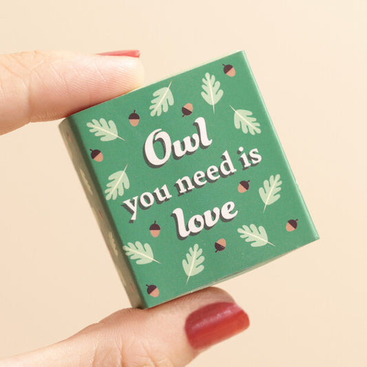 Small green box with 'Owl you need is love' text held by a hand on a beige background