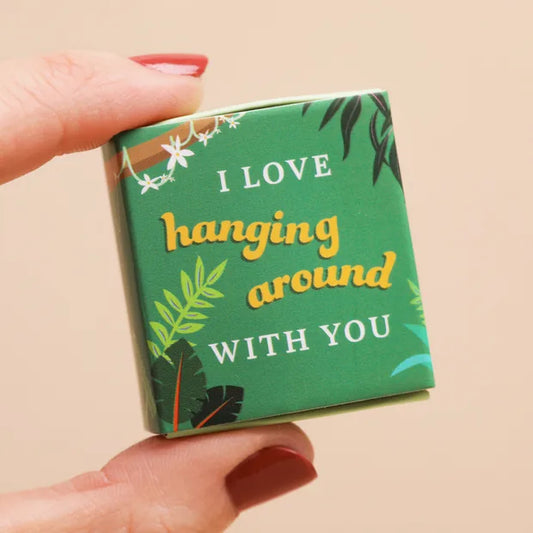 Tiny matchbox gift featuring a cute ceramic sloth, perfect pocket-sized encouragement token.