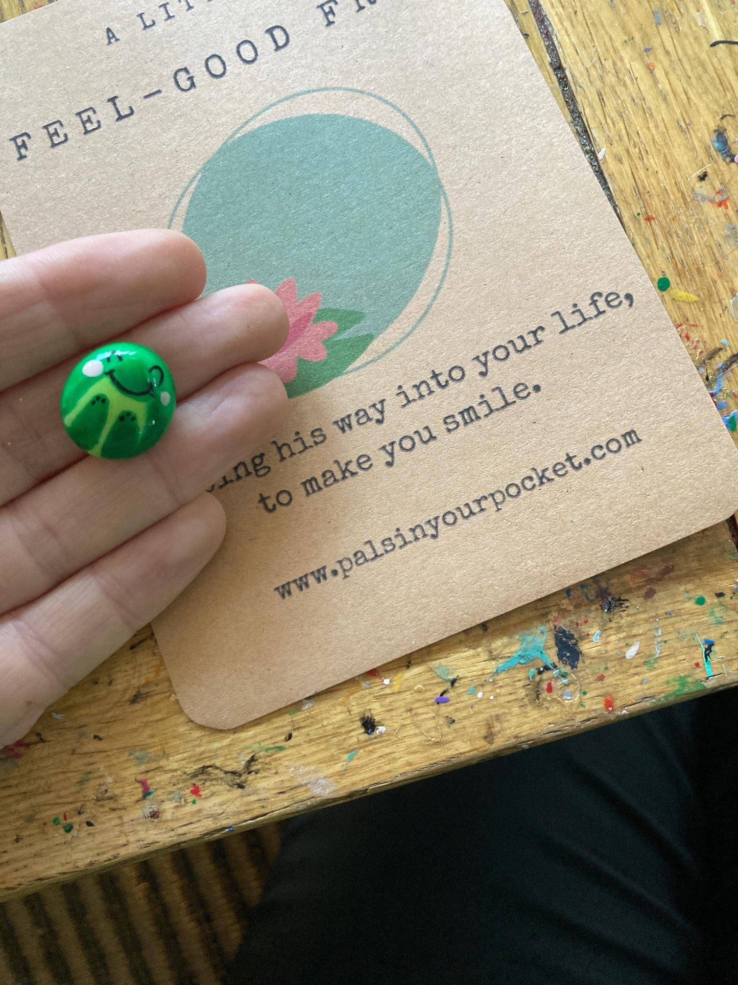 Pals in your Pocket - Feel-Good Frog Worry Pet