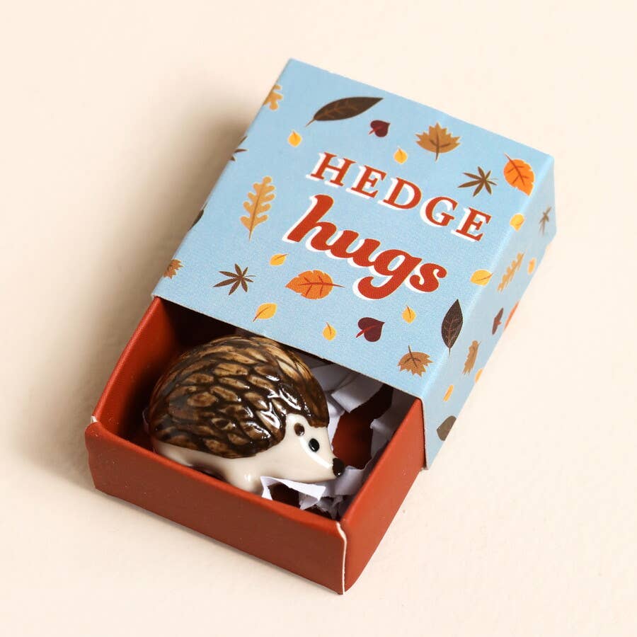 Small hedgehog toy inside a box labeled 'Hedge hugs' with autumn leaf design on the lid.
