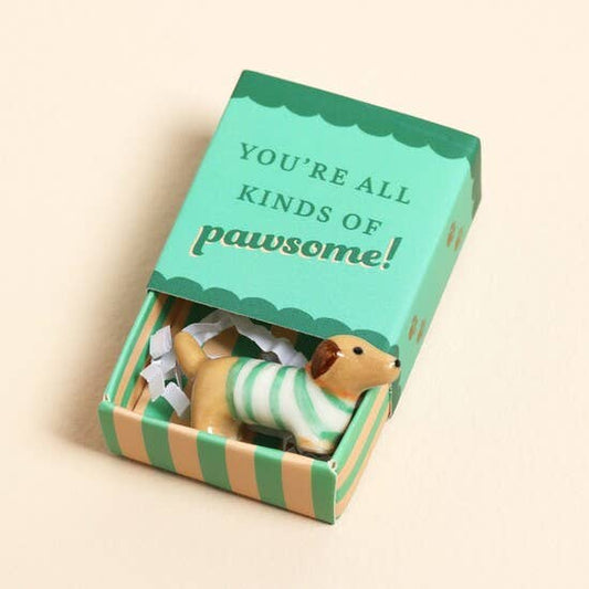 Small dog figurine in a matchbox with 'You're all kinds of pawsome!' text on a beige background