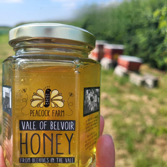 Jar of Vale of Belvoir Honey from Peacock Farm held in front of a blurred farm background