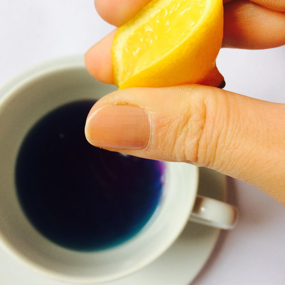 Lemon held above a white cup of deep blue River Trent herbal tea